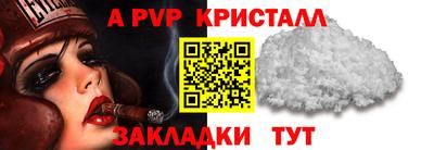 дмт Кингисепп