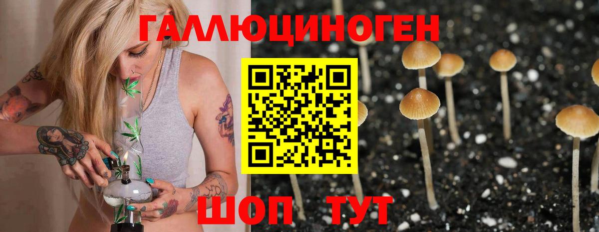 Галлюциногенные грибы Cubensis  Вход с VPN  Чапаевск  Галлюциногенные грибы Cubensis 